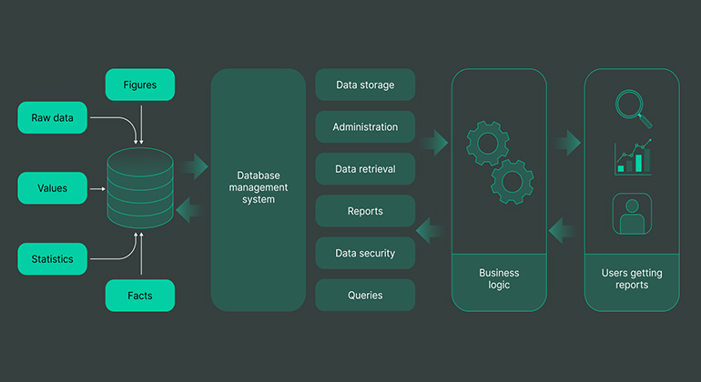 Database Management System