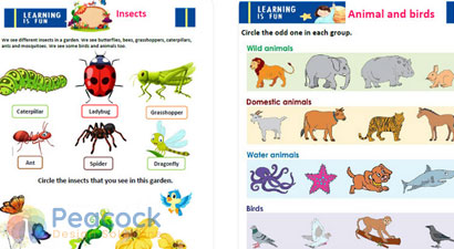 Elearning Illustration Design