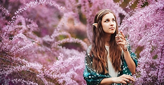 creative brochure design services