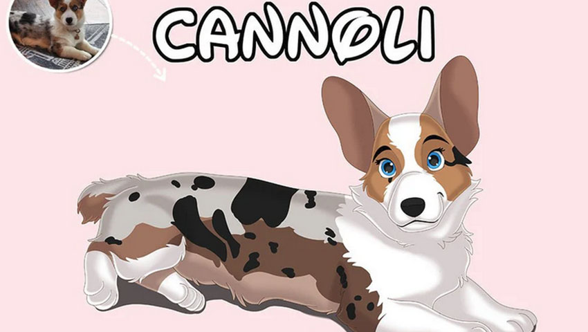 Custom Pet Portrait & Personalized Pet Portrait Services