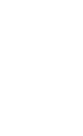 Peacock Design Solutions branding logo for web and mobile services