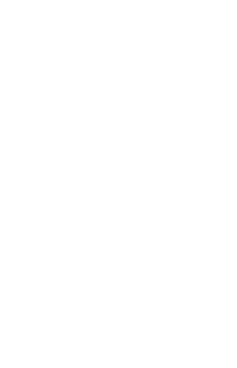 Peacock Design Solutions branding logo for web and mobile services