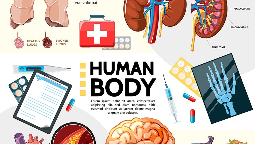 Medical illustrations book design company