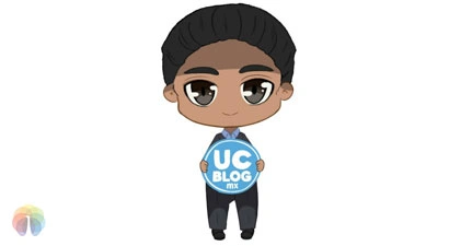 Peacock Design Solutions branding logo for web and mobile services