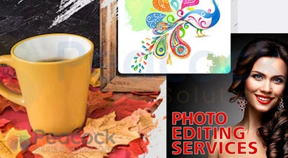 Peacock Design Solutions branding logo for web and mobile services