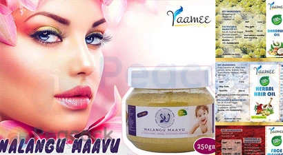 Peacock Design Solutions branding logo for web and mobile services