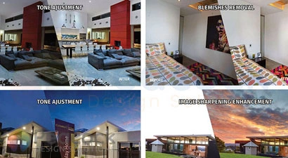 Peacock Design Solutions branding logo for web and mobile services