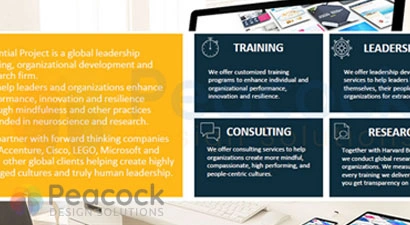 Peacock Design Solutions branding logo for web and mobile services