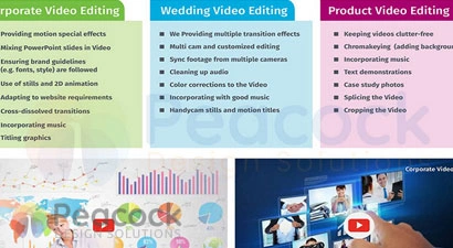 Peacock Design Solutions branding logo for web and mobile services