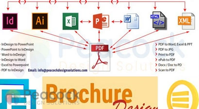 Peacock Design Solutions branding logo for web and mobile services