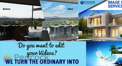 Peacock Design Solutions branding logo for web and mobile services