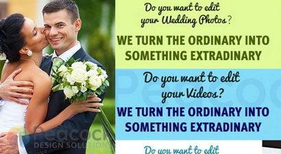 Peacock Design Solutions branding logo for web and mobile services