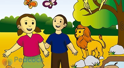 Peacock Design Solutions branding logo for web and mobile services