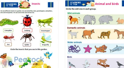 Peacock Design Solutions branding logo for web and mobile services