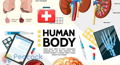 Peacock Design Solutions branding logo for web and mobile services