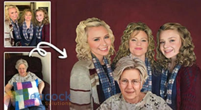 Peacock Design Solutions branding logo for web and mobile services