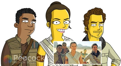 Peacock Design Solutions branding logo for web and mobile services