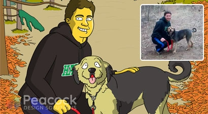 Peacock Design Solutions branding logo for web and mobile services