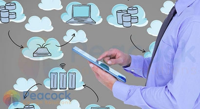 Peacock Design Solutions branding logo for web and mobile services