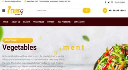 Peacock Design Solutions branding logo for web and mobile services